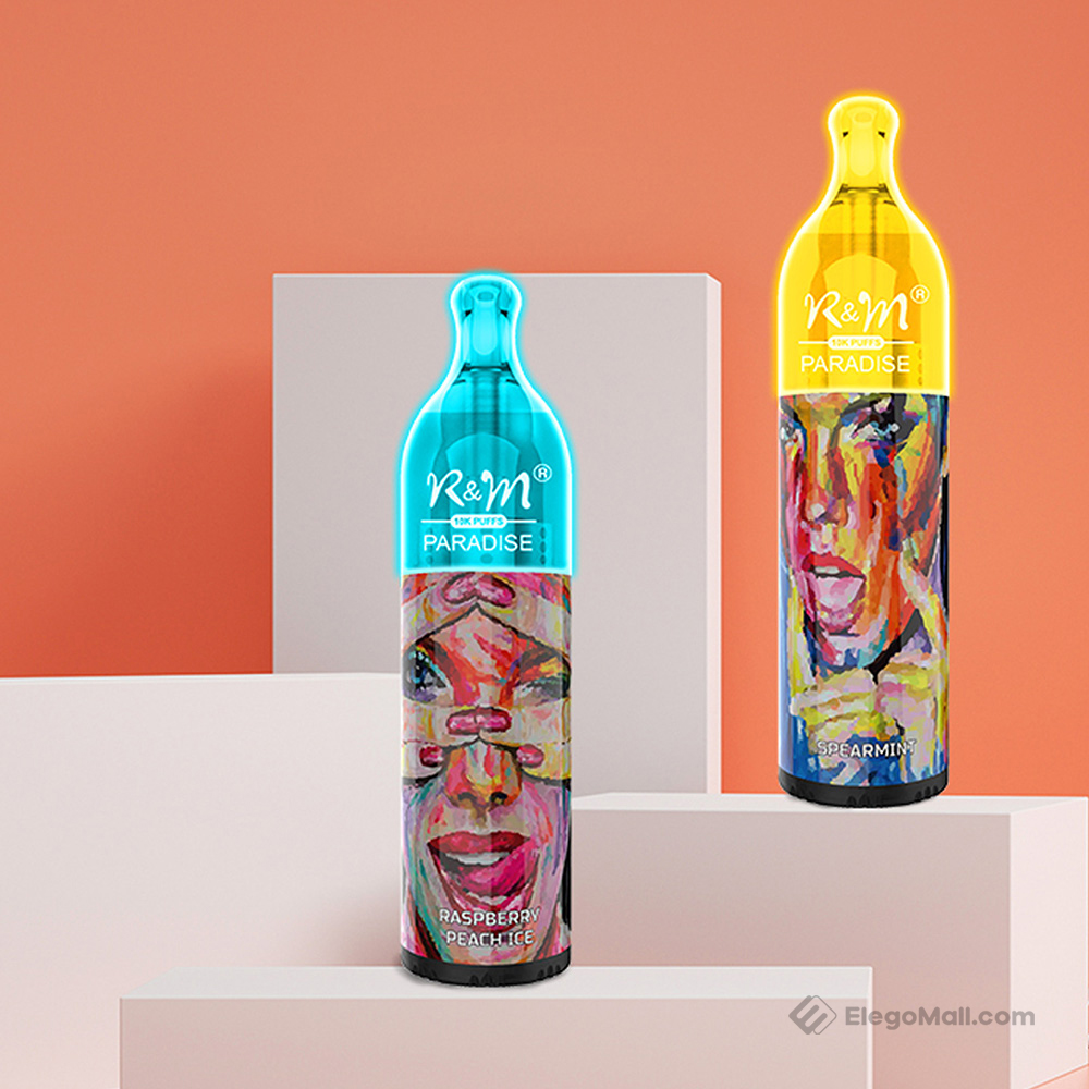 R&M Paradise Disposable Kit 650mAh